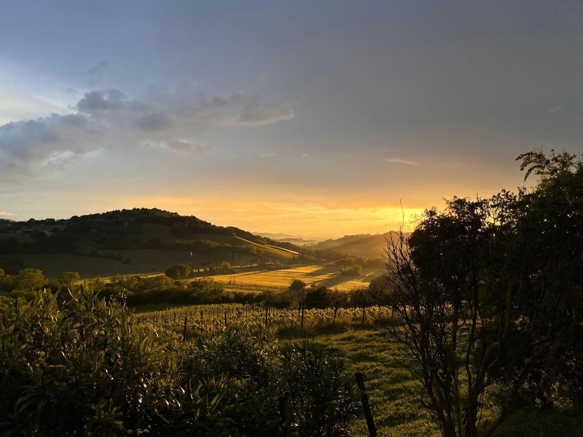 파노 Agriturimo Ca Dorale 빌라 외부 사진